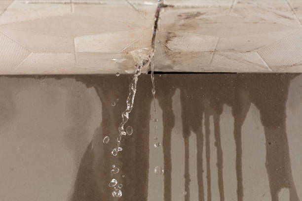 Professional Water Damage Repair technician working in Wolfforth, TX